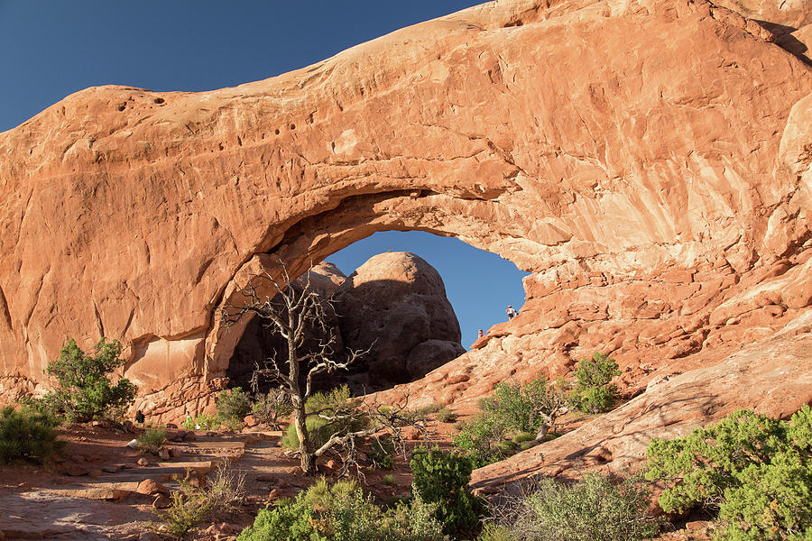 Arches National Park-The Windows Photograph by Levin Rodriguez
