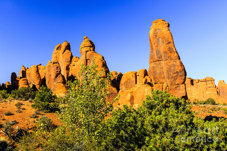 Arches National Park Towers Photograph by Ben Graham