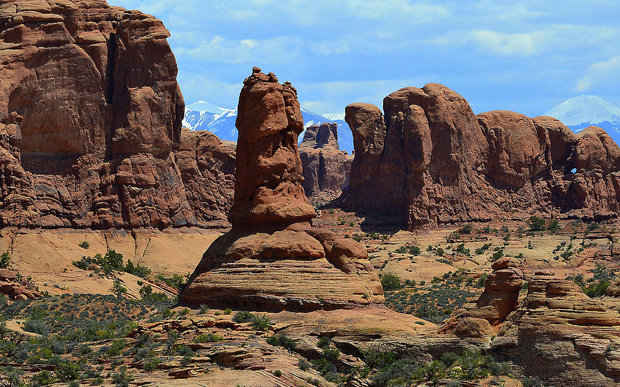 Arches National Park Vista Photograph by Nadalyn Larsen
