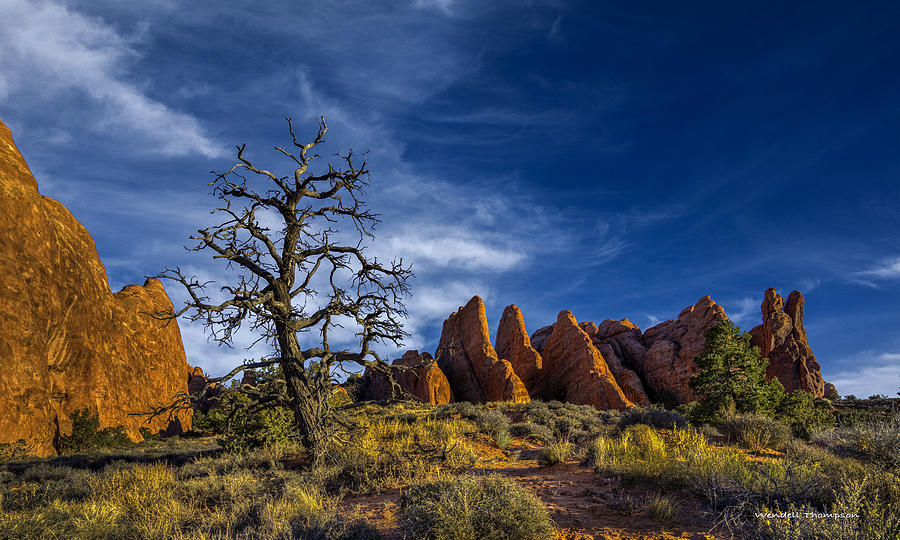Arches National Park Photograph by Wendell Thompson