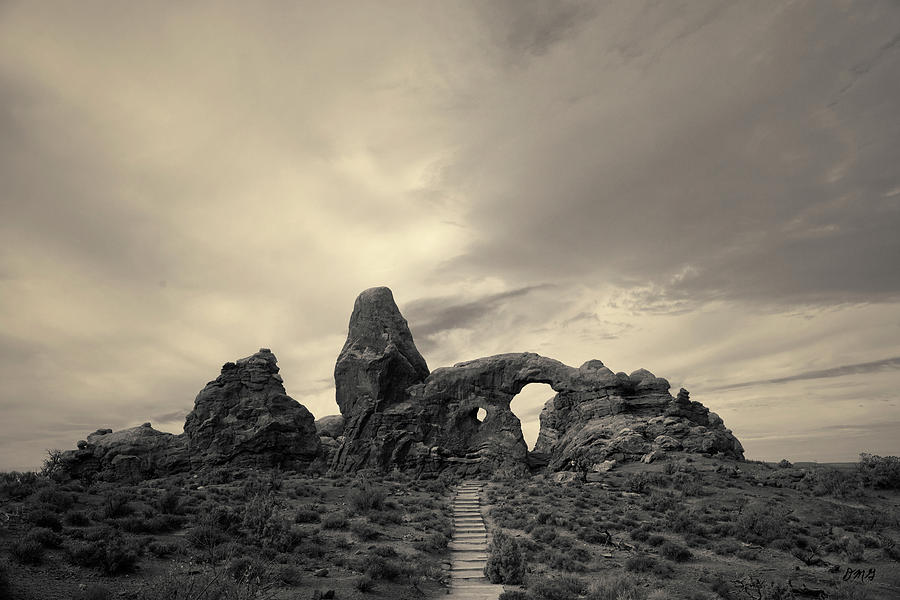 Arches NP X Toned Photograph by David Gordon