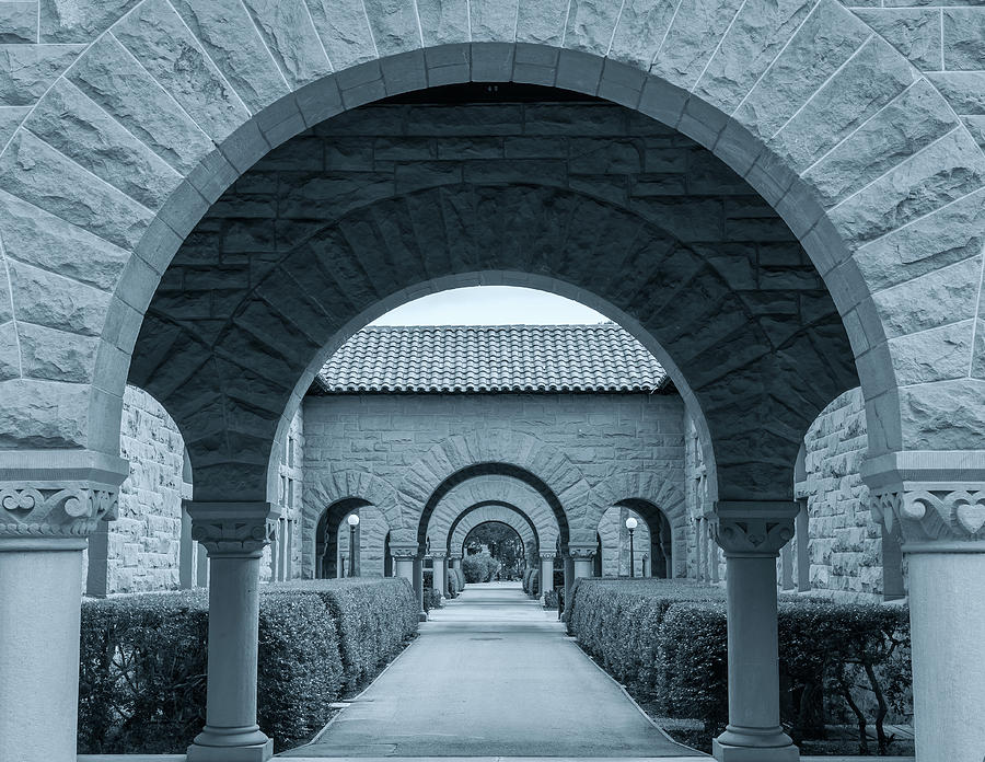 Arches Of Stanford Photograph by Jonathan Nguyen