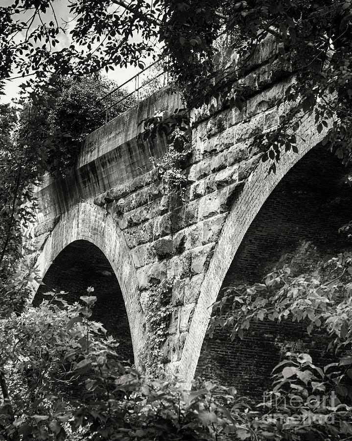 Arches Under The Bridge Black And White Photograph