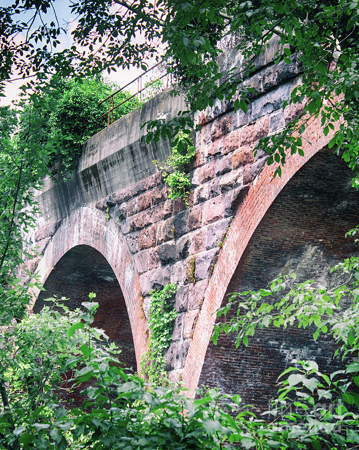 Arches Under The Bridge Photograph