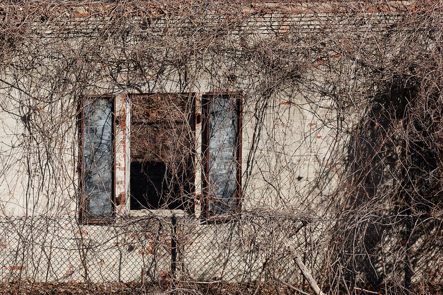 Architecture Photograph - Architectural Decay by Erin Cadigan