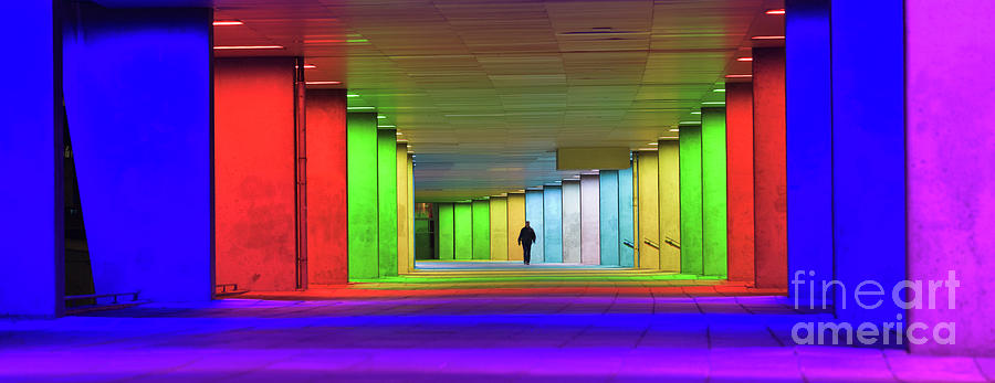 Architectural Institute, Rotterdam Photograph by David Bleeker