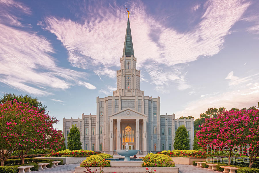 Houston Photograph - Architectural Photograph of Houston Latter Day Saints Temple in Champions Forest - LDS Church Texas by Silvio Ligutti