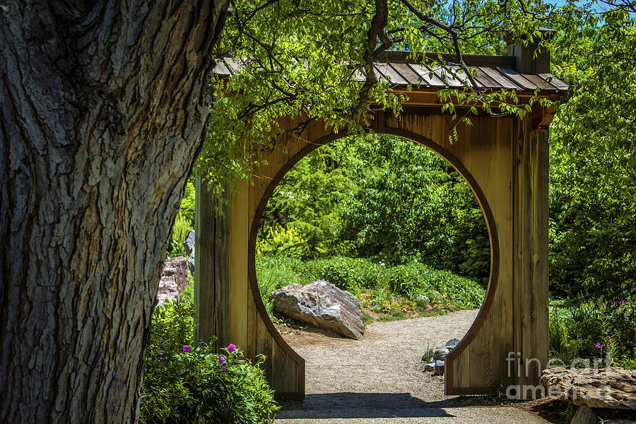 Tree Photograph - Archway by Jon Burch Photography