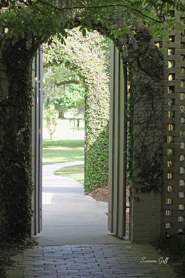 Archway to the Gardens Photograph by Suzanne Gaff