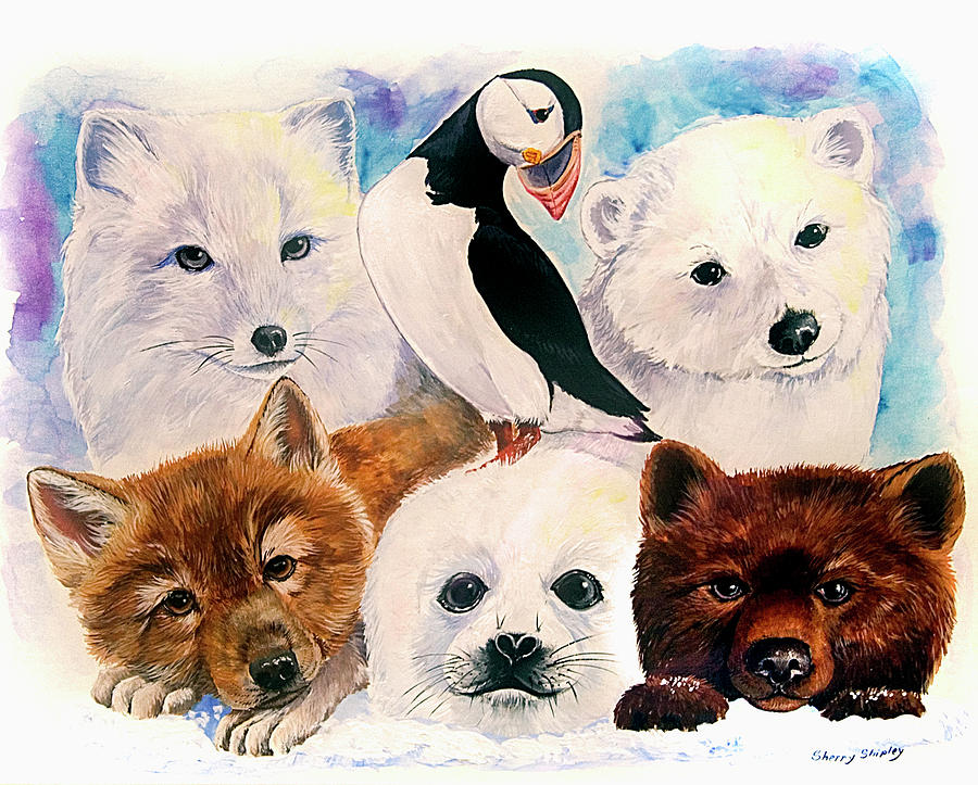 Puffin Painting - Arctic Babies by Sherry Shipley