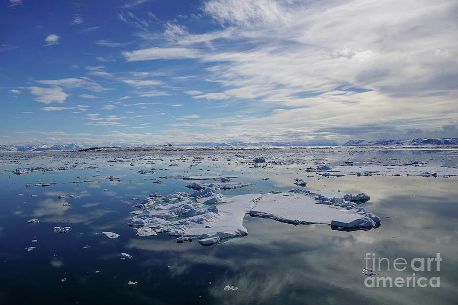 Arctic Beauty Photograph by Brian Kamprath