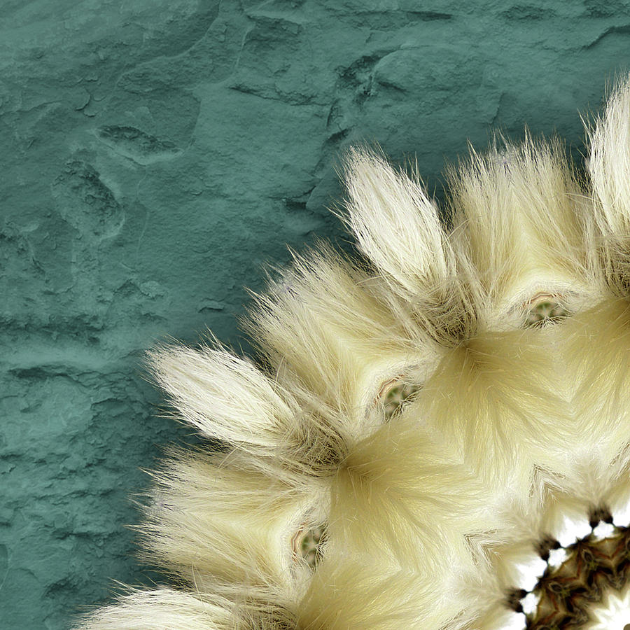 Arctic Cotton Grass Quad A Digital Art by Martha Miller