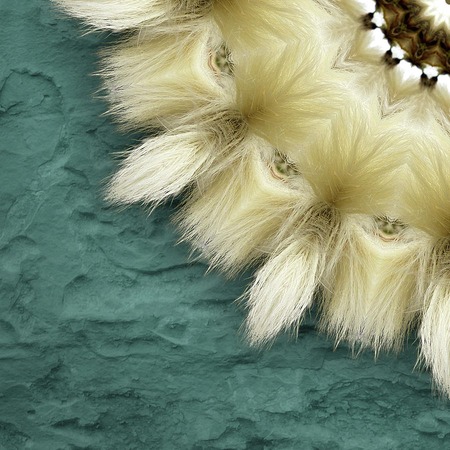 Arctic Cotton Grass Quad D Digital Art by Martha Miller