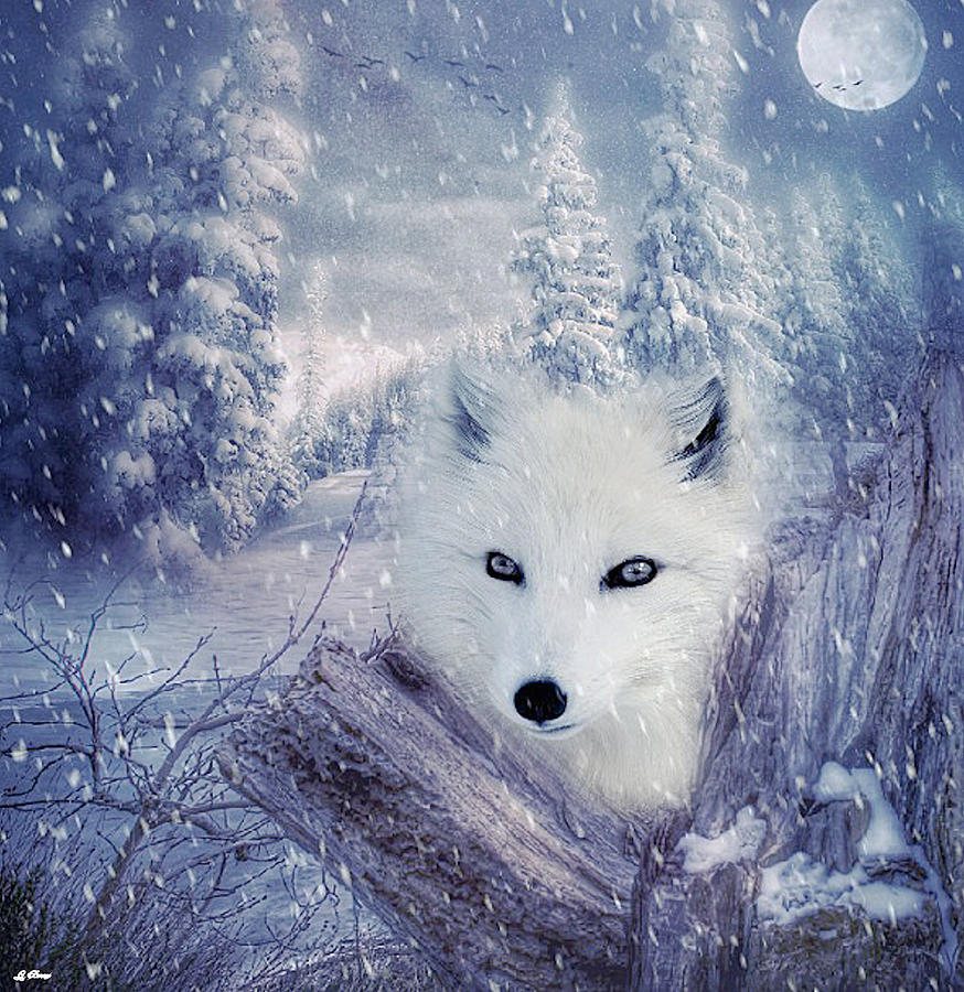 Winter Mixed Media - Arctic Fox by Gayle Berry