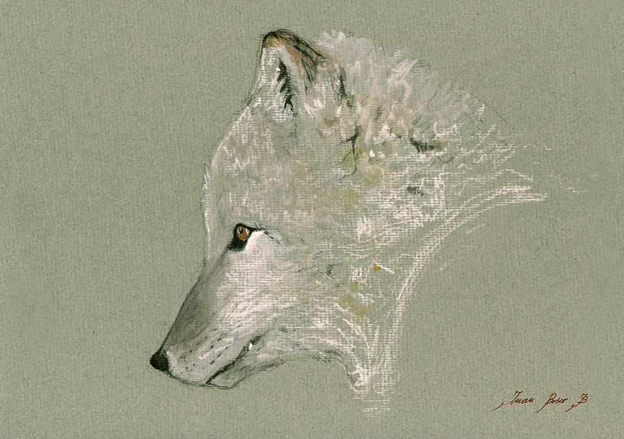 Arctic Fox Painting - Arctic fox head by Juan  Bosco