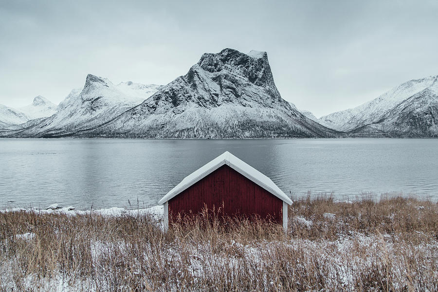 Winter Photograph - Arctic Landscape In Northern Norway, Senja by Aldona Pivoriene