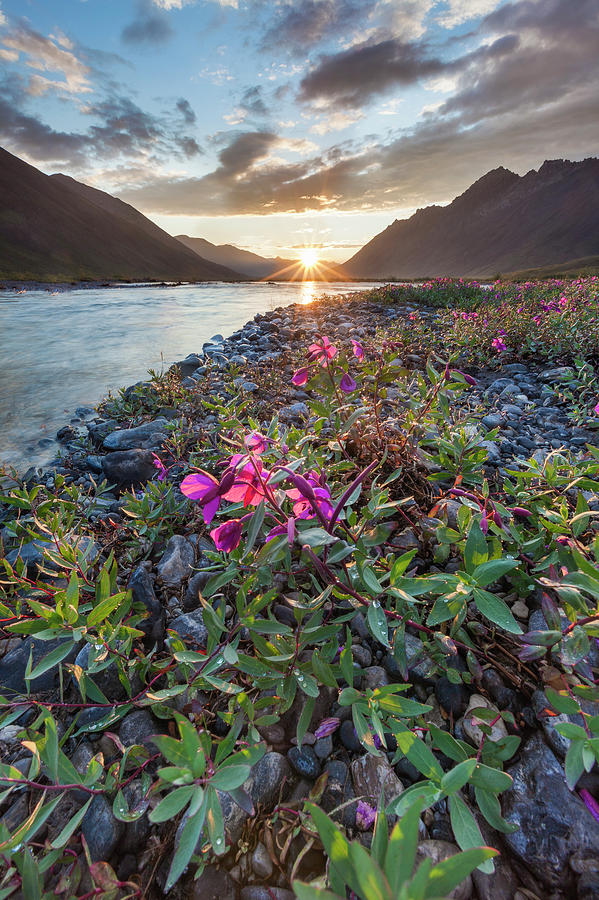 Arctic Midnight Photograph by Patrick Endres - Fine Art America