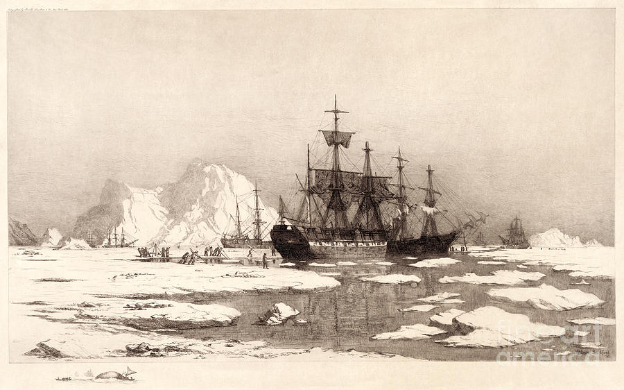 Arctic Ocean Drawing by Granger