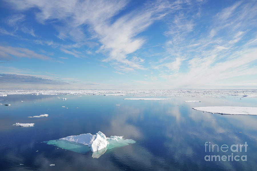 Arctic Reflection Photograph by Brian Kamprath