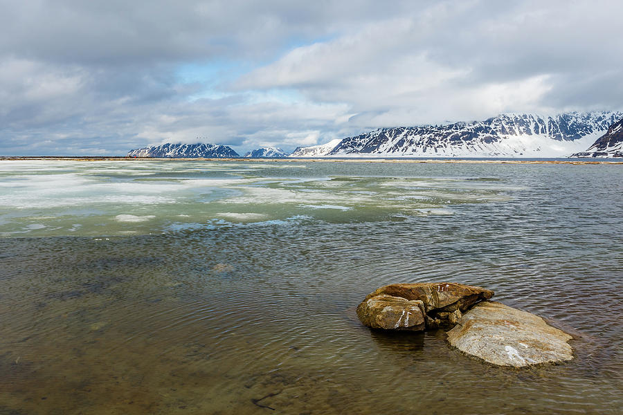 Arctic Views Photograph by Lauri Novak