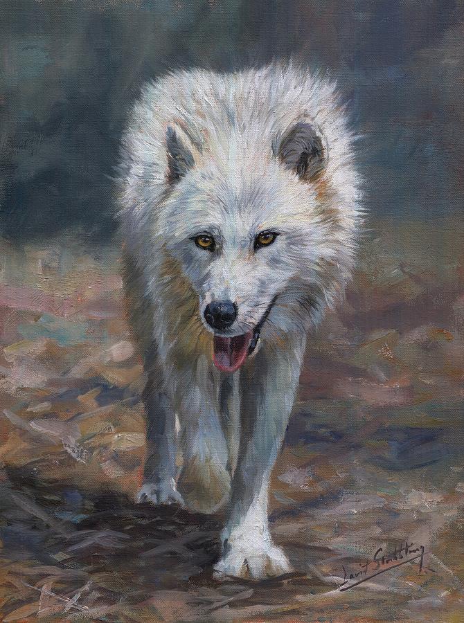 Arctic Wolf Painting by David Stribbling