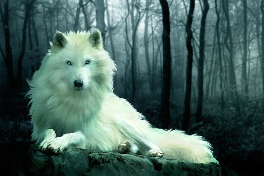 Wolves Digital Art - Arctic Wolf by Julie L Hoddinott