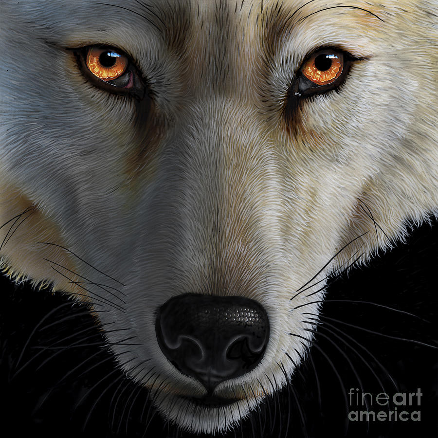 Arctic Wolf Painting by Jurek Zamoyski