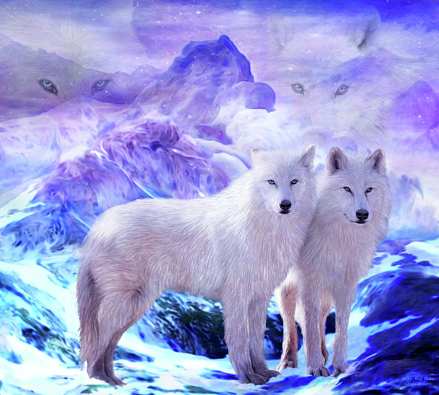 Arctic Wolf Mates Mixed Media by Carol Cavalaris