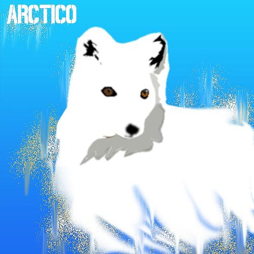 Arctiko Arctiko