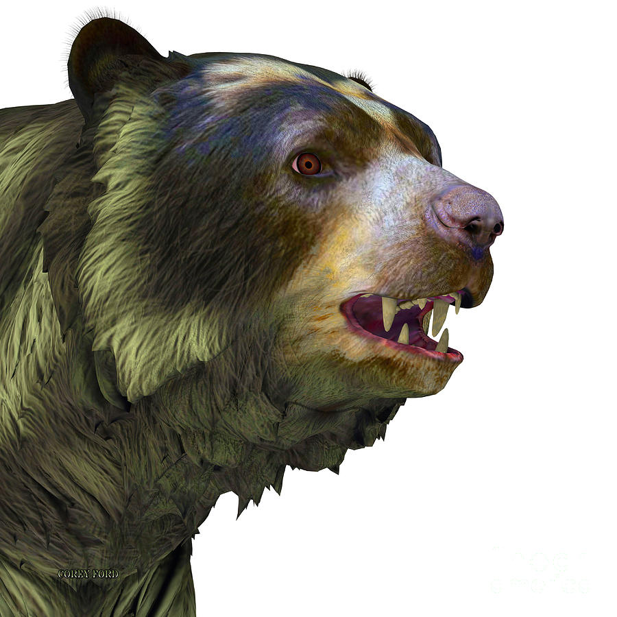 Arctodus Bear Head Painting by Corey Ford