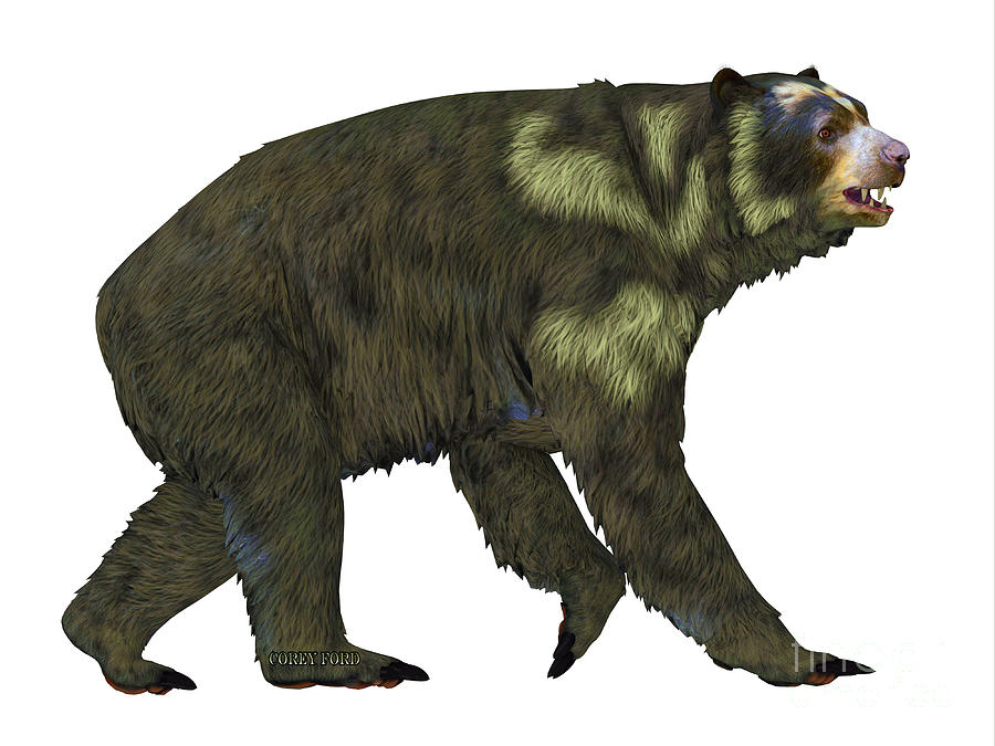Arctodus Bear Side Profile Painting