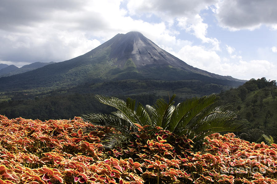 Arenal Volcano Photograph by Jeff Grabert | Fine Art America