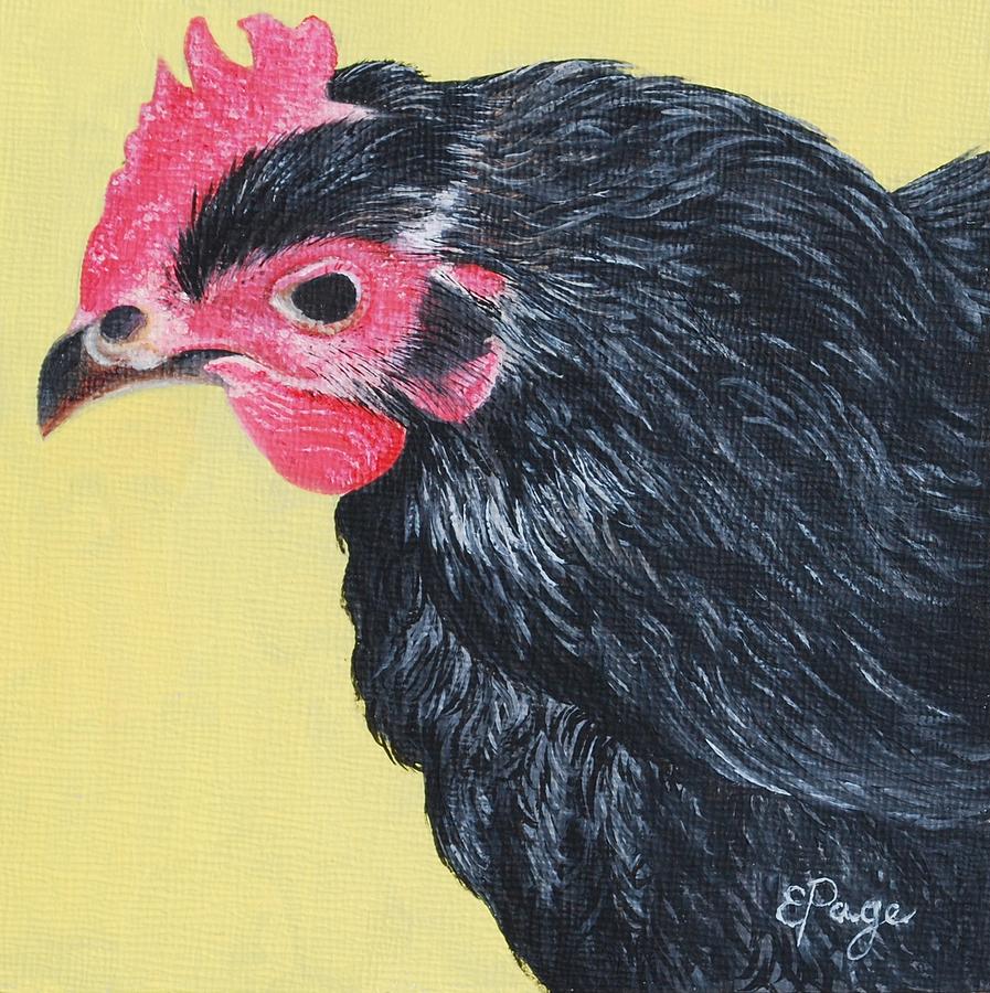Aretha, The Black Star Chicken Painting by Emily Page