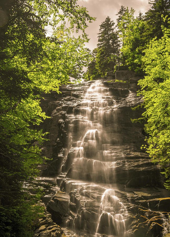 Tree Photograph - Arethusa Falls 2 by Sherman Perry