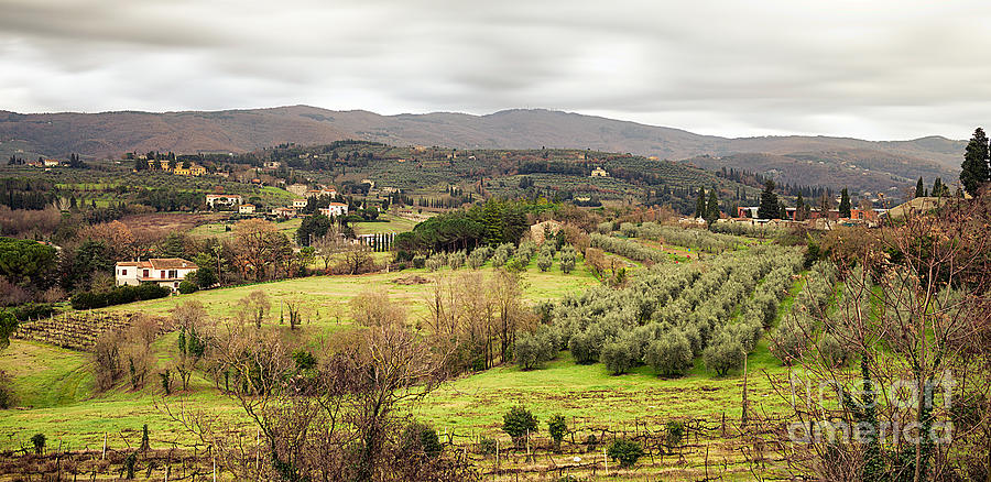 Nature Photograph - Arezzo Hills View From San Donato Belvedere by Corina Daniela Obertas