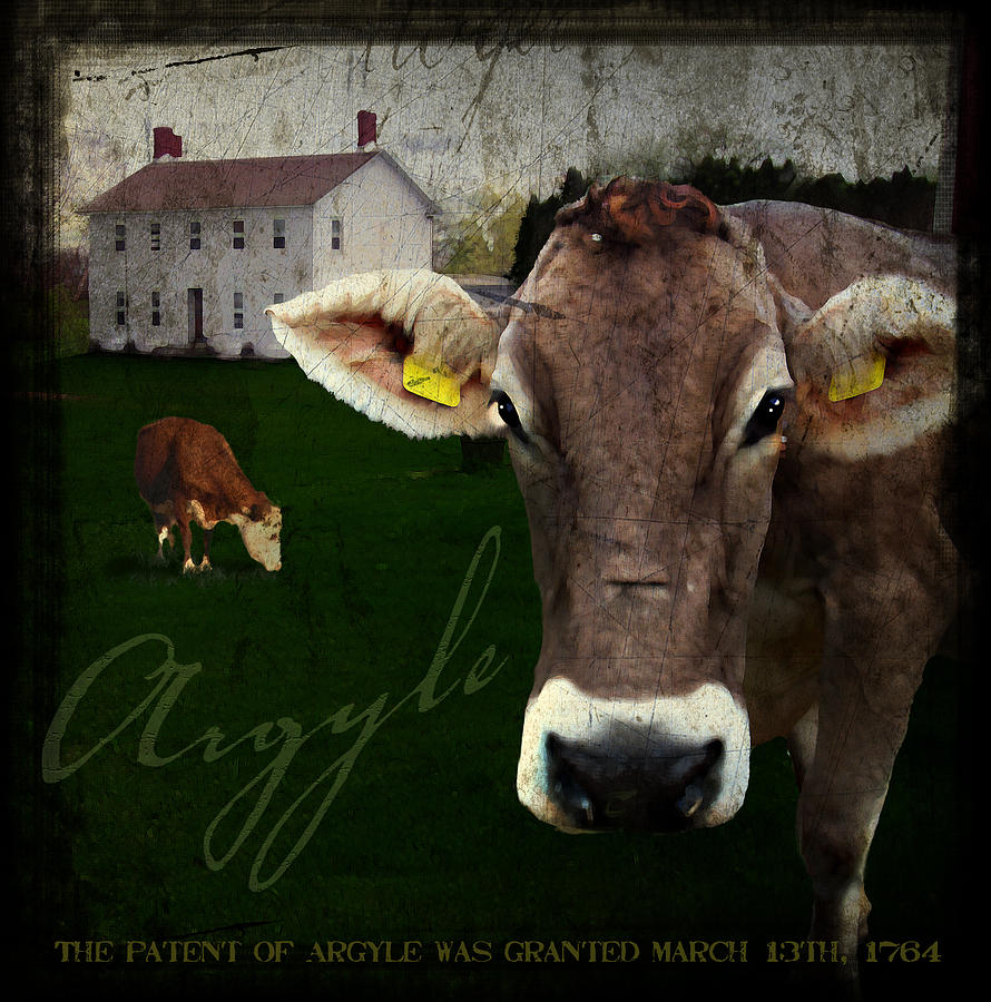 Cow Digital Art - Argyle NY by Kerry Gavin