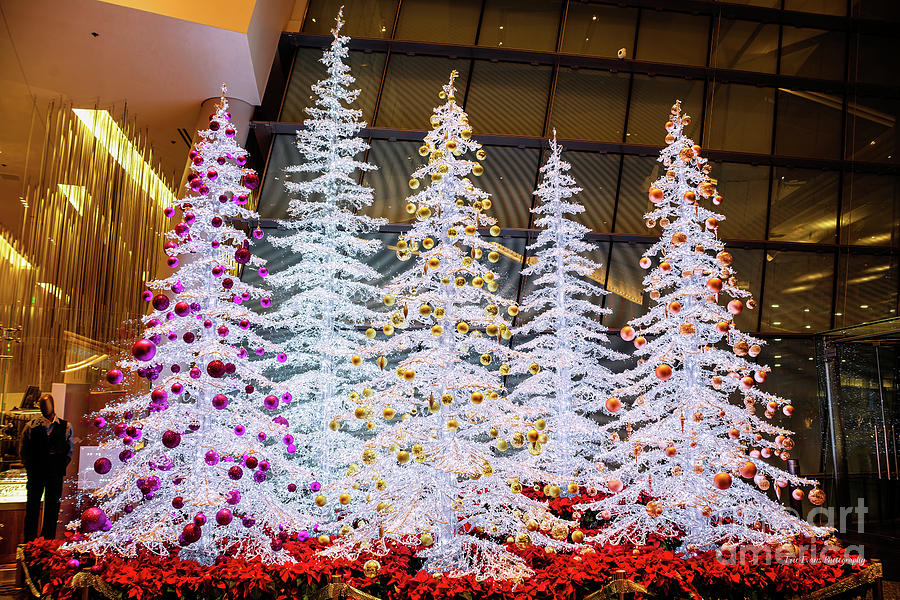 Aria Casino Christmas Trees Photograph by Aloha Art