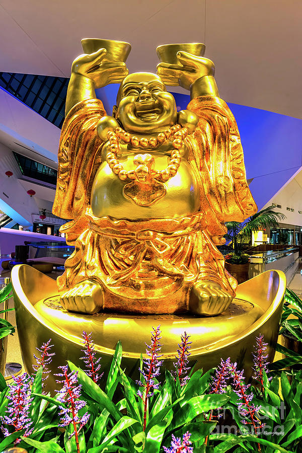 Buddha Photograph - Aria Chinese New Year Buddha by Aloha Art