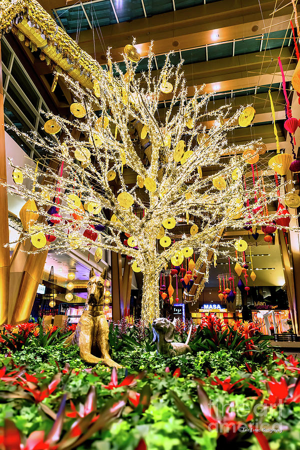 Aria Chinese New Year of the Dog Gold Money Tree  Photograph by Aloha Art