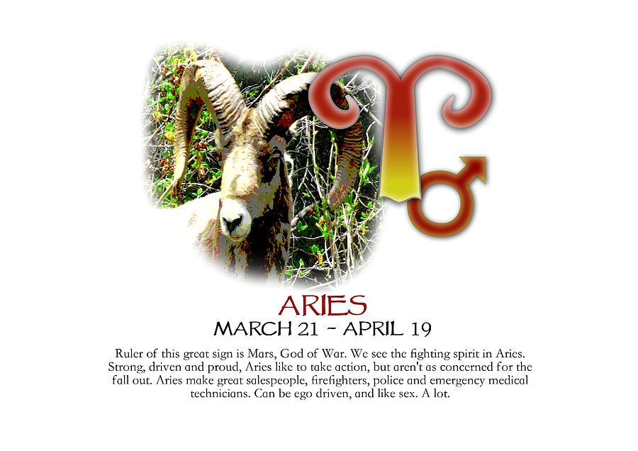 Aries Sun Sign Photograph by Shelley Overton