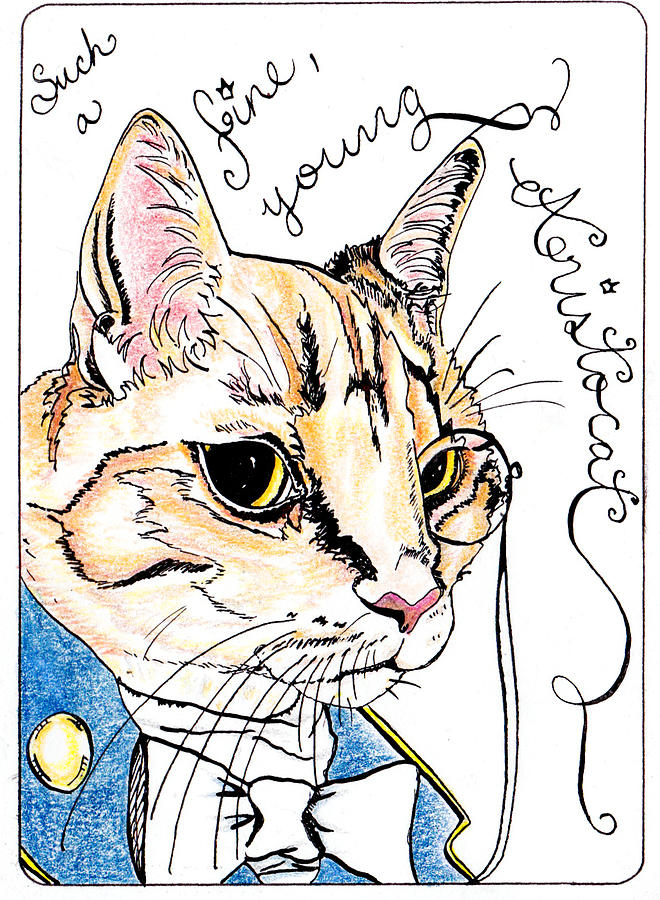 Cat Drawing - Aristocat by Jessica Bruhn-Moisik