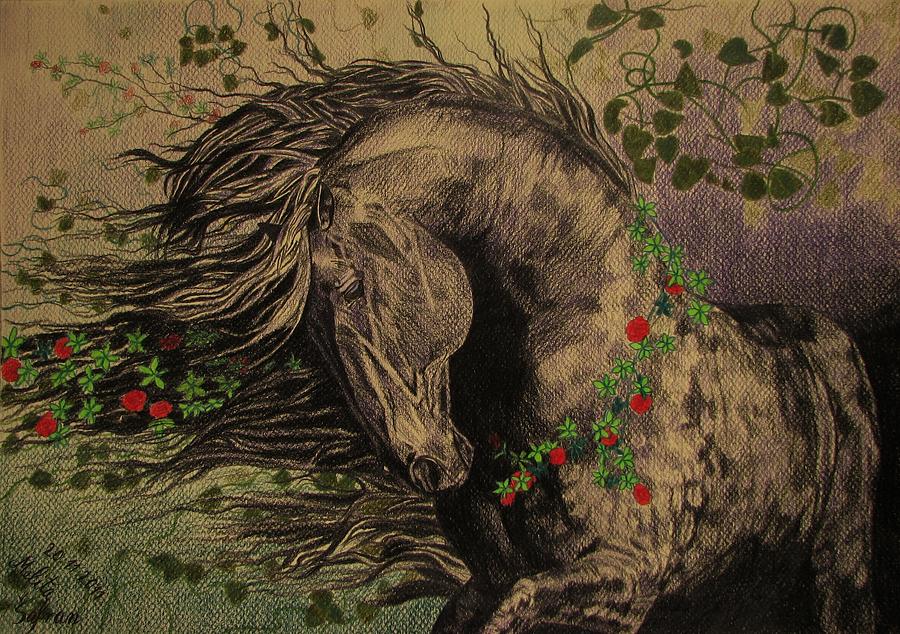 Fantasy Drawing - Aristocratic horse by Melita Safran