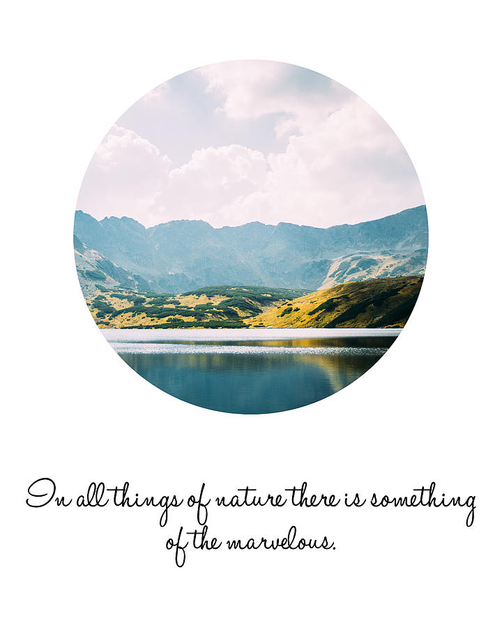 Aristotle Nature Quote Photograph by Pati Photography