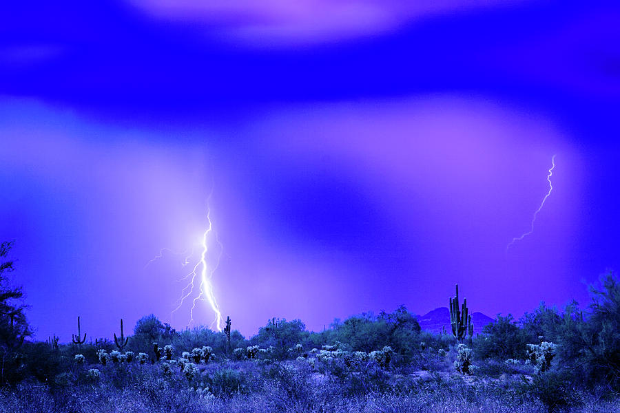 Arizona Blue Hour Desert Storm Photograph by James BO Insogna