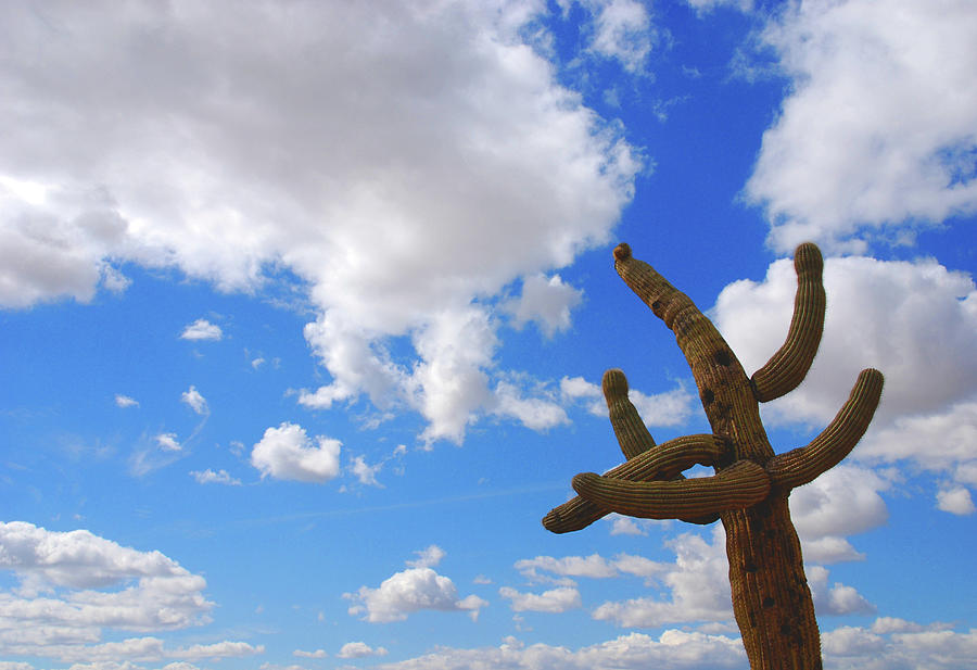 Arizona Blue Sky Photograph by Susanne Van Hulst