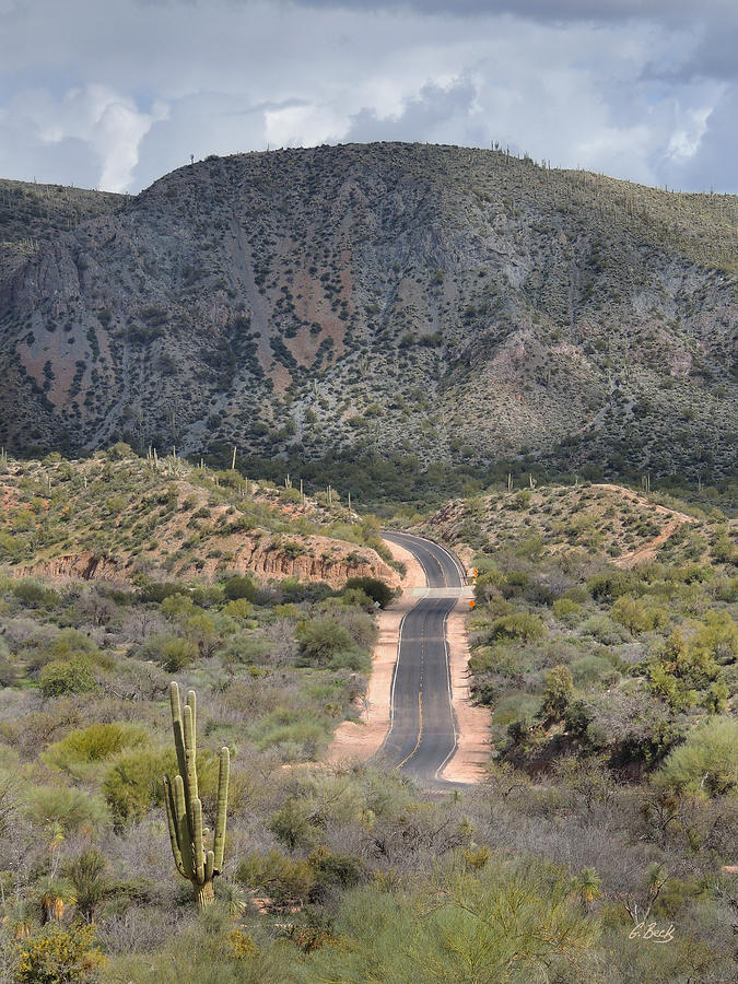 Mountain Photograph - Arizona Byway by Gordon Beck