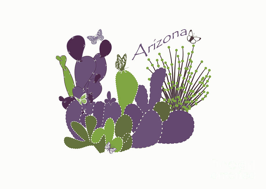 Butterfly Digital Art - Arizona Cacti by Two Hivelys