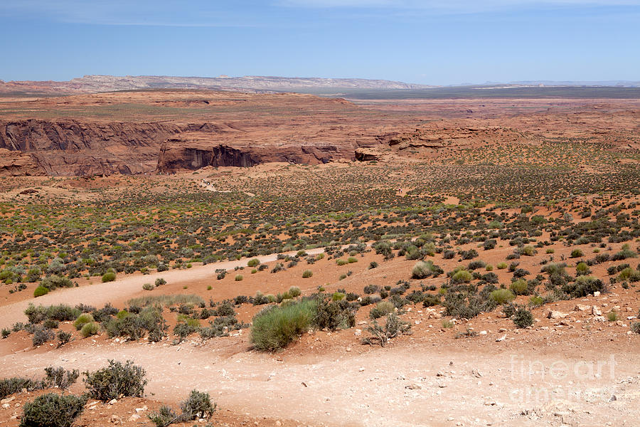 Arizona Desert Photograph by Anthony Totah