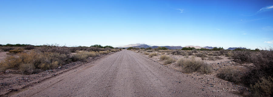 Arizona Desert Photograph by Ed Peterson
