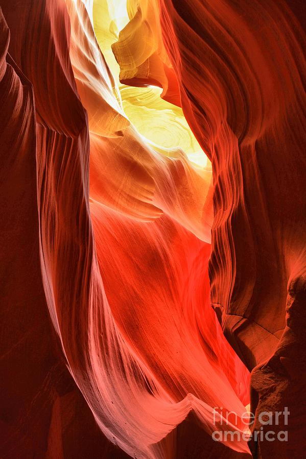 Arizona Desert Flames Photograph by Adam Jewell